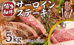 訳あり 博多和牛 サーロイン ステーキ 250g×20枚 計5kg [MEAT PLUS 福岡県 宇美町 um40azp010024] セット 牛肉 サーロインステーキ 肉 和牛