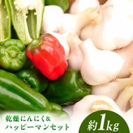 【先行予約】乾燥平戸にんにく＆ハッピーマンセット 約1キロ 約1kg 〈2026年10月～11月末頃発送〉ニンニク 自然乾燥平戸にんにく ピーマン 野菜 やさい おかず 副菜 お弁当 新鮮 おいしい 採れたて 国産 お取り寄せ 高知県 土佐市【株式会社植田ファーム】[BQAT011]
