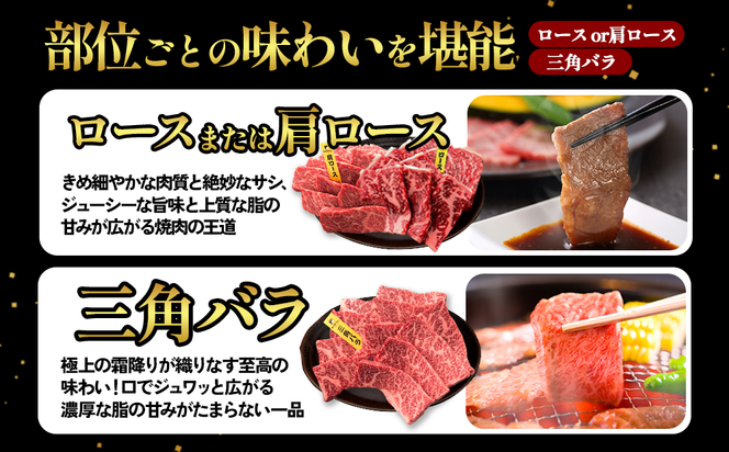 宮崎県産 黒牛 焼肉 赤身 牛肉 焼肉セット ロース 肩ロース 三角バラ 2点盛り 560g(280g × 2パック)焼肉用 肉 お肉 牛 国産牛 食べ比べ セット 小分け 真空パック コスパ 冷凍 贈答 贈答用 ギフト BBQ アウトドア キャンプ  国産 国産牛 九州 宮崎県 えびの市 送料無料
