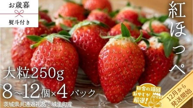 y錧΂݂炢szy Ε lt zgق؁qr 嗱 250gi8`12j×4pbNy2025N12甭Jnzi錧ʕԗi []F闢Yj   C`S gق؁y Ε lt zgق؁qr 嗱 250gi8`12j×4pbNyߘa6