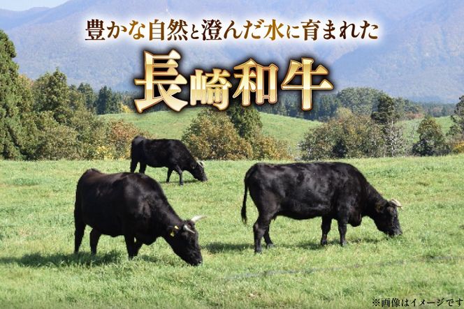 AJ467 長崎和牛 ローススライス 330g 2パック 計660g [ 牛肉 肉 和牛 お肉 すき焼き しゃぶしゃぶ 小分け 国産 冷凍 真空パック 記念日 誕生日 ブランド おすすめ 夜ご飯 柔らか ジューシー BBQ バーベキュー 焼肉 トライアルストアーズ 長崎県 島原市 ]