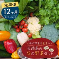 【定期便】淡路島の旬の野菜セット　１年コース（月１回×１２回）　野菜詰め合わせ