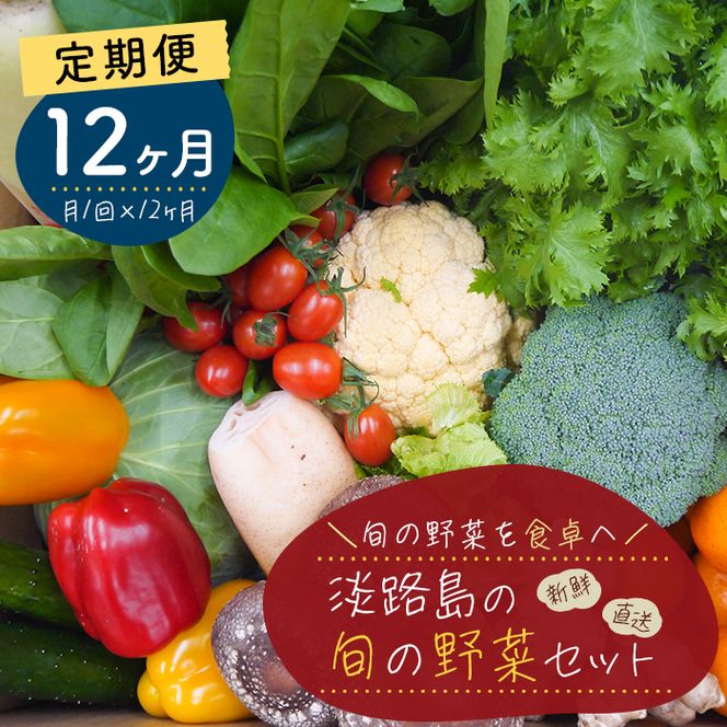 【定期便】淡路島の旬の野菜セット　１年コース（月１回×１２回）　野菜詰め合わせ