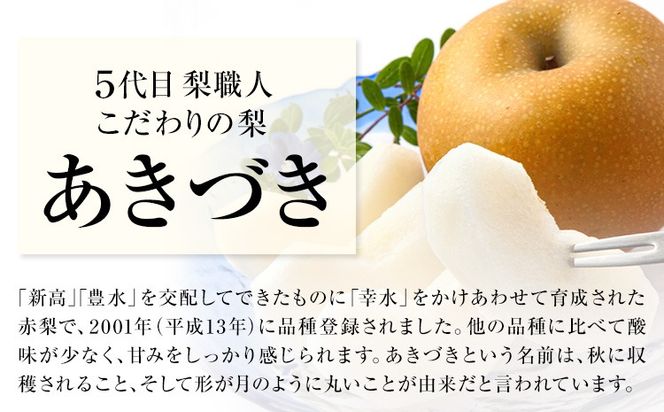 梨 あきづき 福岡農園 こだわりの梨 あきづき 約5kg 《9月上旬-9月下旬頃出荷予定》熊本県 氷川町 ナシ 秋 旬 熊本 フルーツ お取り寄せ 無袋栽培 送料無料 旬の梨 フルーツ梨 あきづき 約5kg nashi あきづき 旬---hkw_lcl_327_5kg---