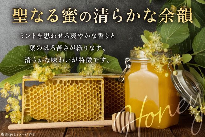 ミード 蜂蜜酒 TRUE HEART 375ml 1本 [WICKED WAY MEAD 長野県 池田町 48110852] 酒 お酒 はちみつ 蜂蜜 ハチミツ