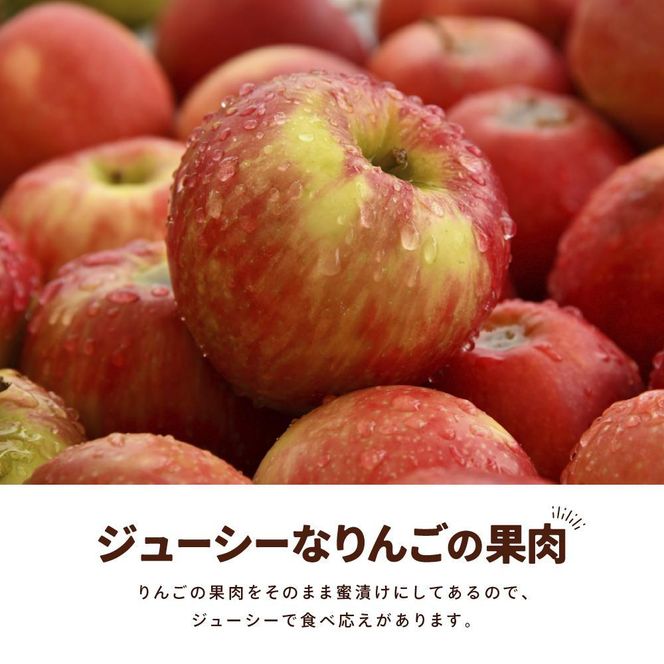 アップルチョコレートミルク900g 242161_CR005