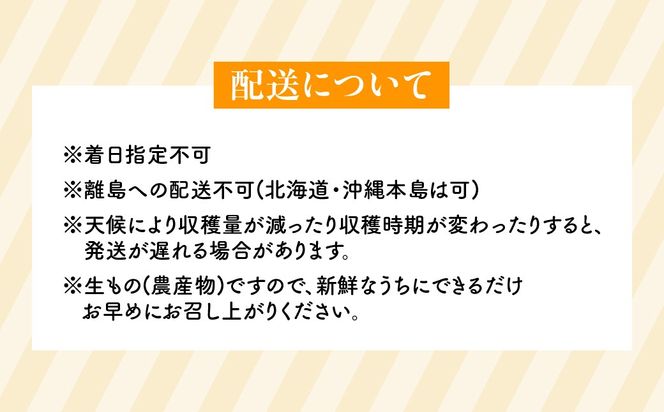 【先行予約】ポンカン「蜜る」　5㎏　（2027年1月中旬～2月中旬頃に順次発送）IKTBC014