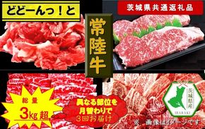 169-26-051　【3か月定期便】【常陸牛】どどーんっ！と常陸牛【月替わりで異なる部位が届く定期便】 計3回 総重量約３kg超え（茨城県共通返礼品）【常陸牛　茨城県産　日立市】