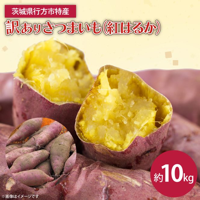 茨城県産 紅はるか 訳あり サイズミックス　約10kg｜訳あり わけあり 訳アリ さつまいも サツマイモ さつま芋 紅はるか べにはるか 芋 いも 茨城県産 行方市(FU-4)