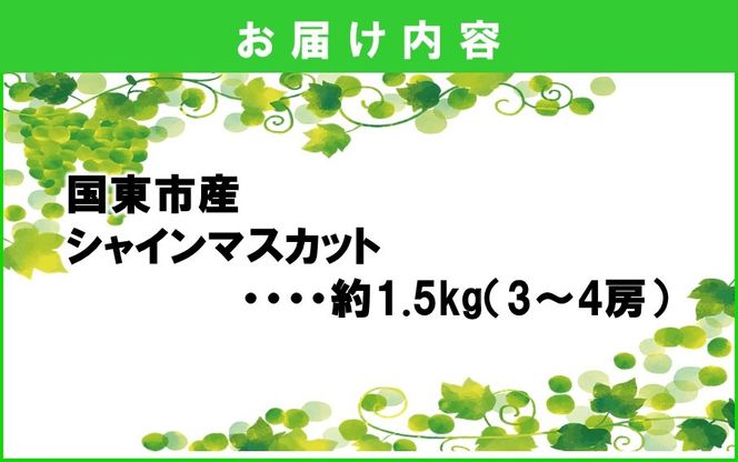 テレビで紹介されました！【先行予約】【令和8年発送】農家直送！ 新鮮！ 朝づみ シャインマスカット 1.5kg (3～4房) フルーツ 果物 贈答 大分県産 採れたて_2537R-2