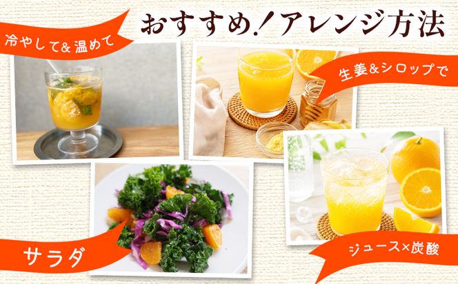 みかんジュース ふじ農園の特別栽培 極早みかん 100％ストレートジュース(720ml×2本)化粧箱入り極早生 みかん 蜜柑 ミカン 柑橘 温州みかん 国産 果汁 果物 フルーツ フレッシュ ストレート ジュース 果実飲料 fn-0016