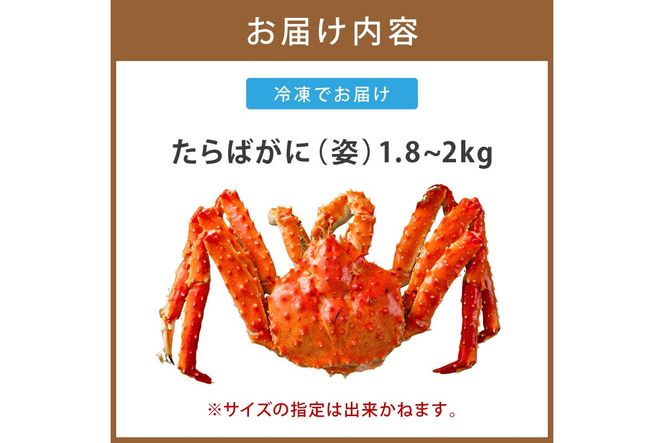 【予約：2026年12月から順次発送】オホーツク産 たらばがに 姿 1.8kg～2.0kg 冷凍 ( たらば タラバ カニ かに 蟹 魚介類 海鮮 北海道 旨味 一尾 )【114-0090】
