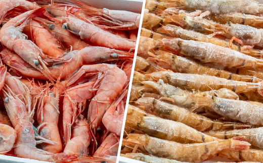 【紅白エビセット 甘エビ500g 白エビ500g】 日本海で水揚げされた鮮度抜群の甘えびを船内で急速冷凍しました。短時間で急速冷凍 細胞を壊さず、食品の美味しさをキープ 産地直送 香美町 香住 山陰 国産 刺身 塩焼き 海鮮 04-02