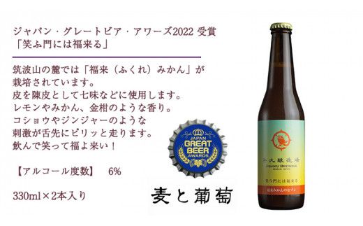 2年連続！《 ジャパン・グレートビア・アワーズ 受賞 》クラフトビール3種 計 6本セット 飲み比べ 茨城県産 牛久醸造場 330ml × 6本 ビール 地ビール クラフト お酒 贈り物 [BJ025us]