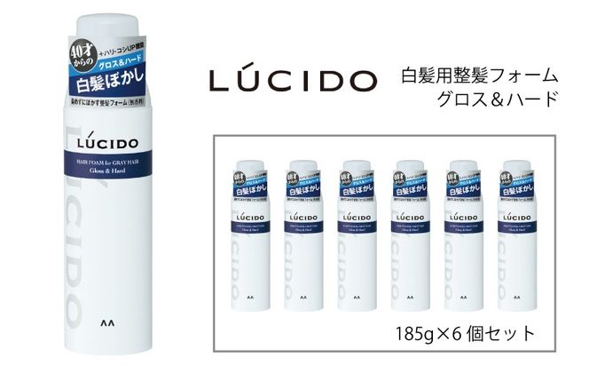マンダム ルシード 白髪用整髪フォーム グロス＆ハード 185g MA-102