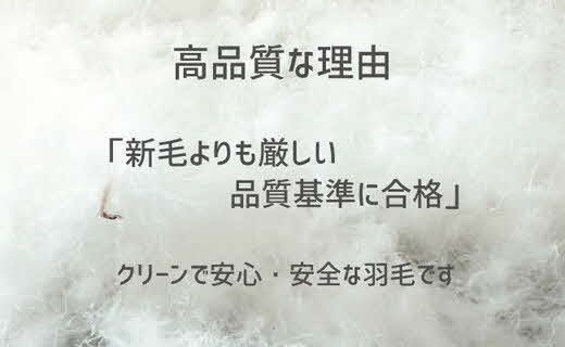 【4.1-2】ザ・羽毛布団 リサイクルダウン シングル 150×210cm　リサイクルホワイトダックダウン70％ 羽毛 掛け布団 立体キルト【251-000360-20】