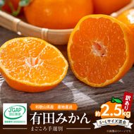 【2026先行予約】有田みかん 約2.5kg 【家庭用】 (S～Lサイズ混合)【まごころ手選別】_ZE6480