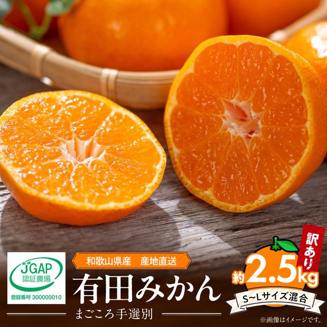 【2026先行予約】有田みかん 約2.5kg 【家庭用】 (S～Lサイズ混合)【まごころ手選別】_ZE6480