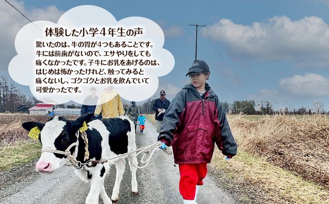 酪農体験チケット 大人1名・子供2名 【 体験チケット 酪農 北海道 幕別町 牛 搾乳 牧場 自然 】