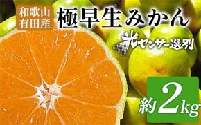 【先行予約】こだわりの極早生みかん 約2kg 農家直送 有機質肥料100% サイズ混合 ｜ みかん 極早生 早生 柑橘 果物 くだもの 果実 フルーツ 和歌山 有田