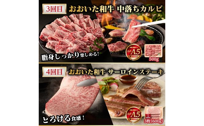 【T10098】【隔月配送】【おおいた和牛堪能】隔月4回お届け定期便