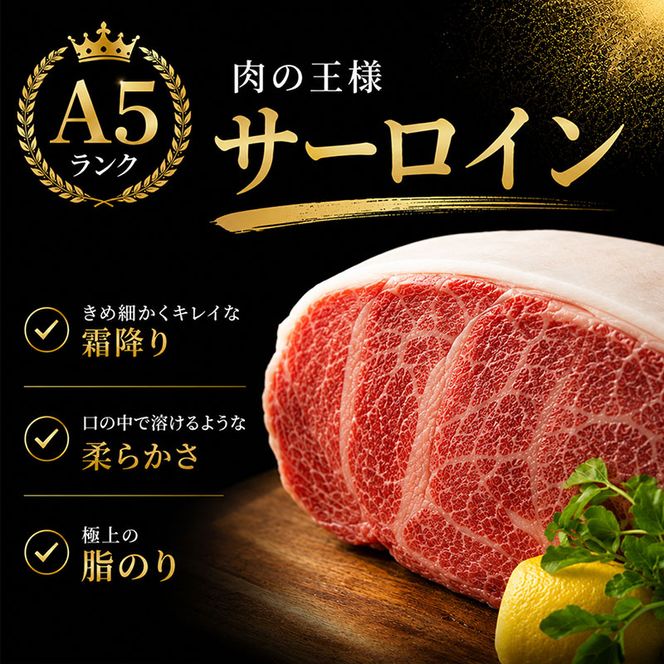 ふるさと納税　飛騨牛 牛肉 ステーキ サーロイン 180g×5枚 計900g A5 和牛 