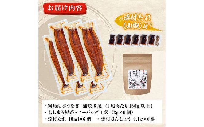 霧島湧水鰻6尾＆ししまるお茶セット 霧島湧水鰻(156g以上×6尾)＆緑茶ティーバッグ(3g×6個) c8-031