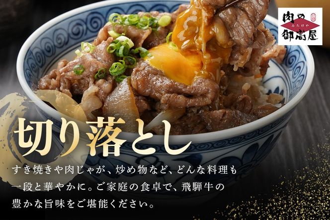 飛騨牛  A5等級「飛騨牛切り落とし 500g」 冷蔵配送・牛丼・牛野菜炒め 462