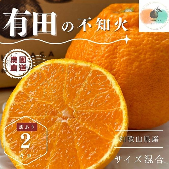 【ふるさと納税】【先行予約】 不知火 2kg 訳あり サイズ混合 柑橘 フルーツ  産地直送 お取り寄せ 送料無料 FA12