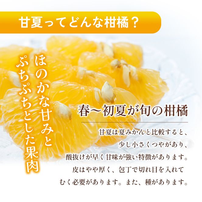 【 小豆島 】 甘夏柑 約5kg 柑橘 あまなつかん 果物 フルーツ 爽やか さっぱり くだもの 国産 香川 香川県 土庄 土庄町 