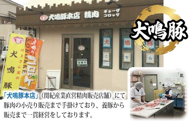 G5635 犬鳴豚の手作りプレミアムハンバーグ（20個入り）【国産 豚肉 ぶたにく 犬鳴ポーク 普段使い】