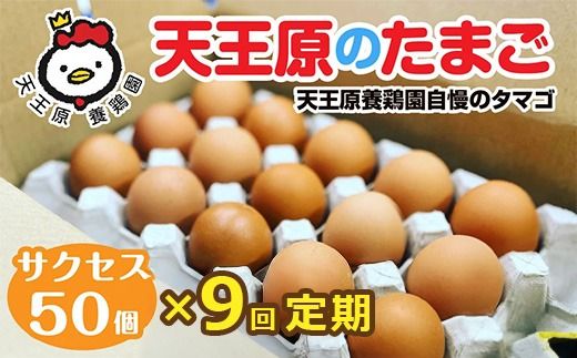 【定期便】9回定期 【天王原のたまご】 サクセス卵 50個入り 【定期便 9回定期便 セット たまご 卵 玉子 タマゴ 濃厚 ハリ 弾力 ボリューム 甘味 旨味 卵黄 風味 生 コク 甘味 卵かけご飯 卵焼き 目玉焼き オムレツ 茶碗蒸し お菓子作り パンの材料】