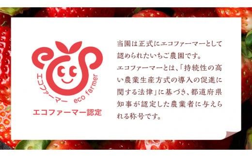 【 茨城いちごグランプリ 受賞 農園 】 完熟 いちご 4品種 食べ比べ セット イチゴ 苺 フルーツ 果物 果実 いばらキッス ひたち姫 とちおとめ やよいひめ よつぼし すず はるひ かおり野 ほしうらら [DY001ci]