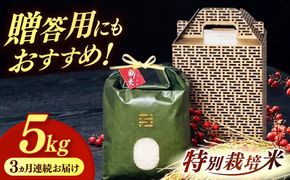 【全3回定期便】とくべつの中のとくべつ  特別栽培米  夢つくし 5kg 【築上町】 / itoshimacco / 株式会社やました[ABEX006]