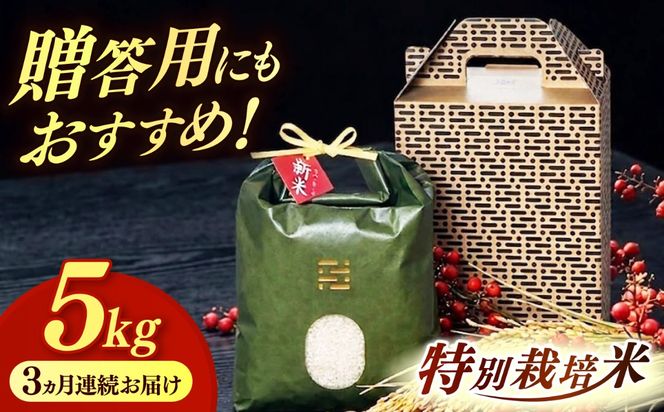 【全3回定期便】とくべつの中のとくべつ  特別栽培米  夢つくし 5kg 【築上町】 / itoshimacco / 株式会社やました[ABEX006]