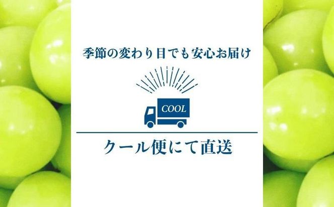 【2025年先行予約】【山梨県都留市ふるさと納税】クール便配送　山梨県産シャインマスカット1.2kg(2～3房)　HD001