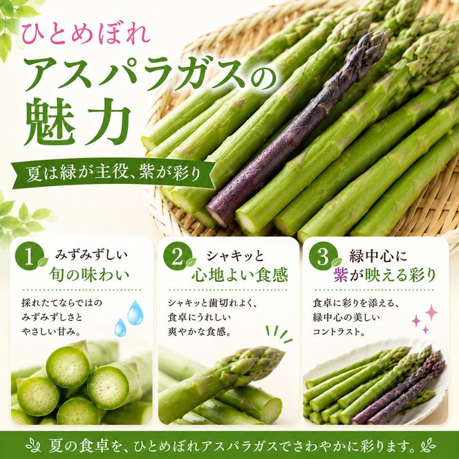 夏限定 ひとめぼれアスパラガス 3kg グリーン パープル ミックス 産地直送 農家直送 夏野菜 朝採れ 新鮮 旬 アスパラ シャキシャキ サラダ バーベキュー BBQ お弁当 肉巻き おすそ分け ファミリー 大容量 ギフト 送料無料