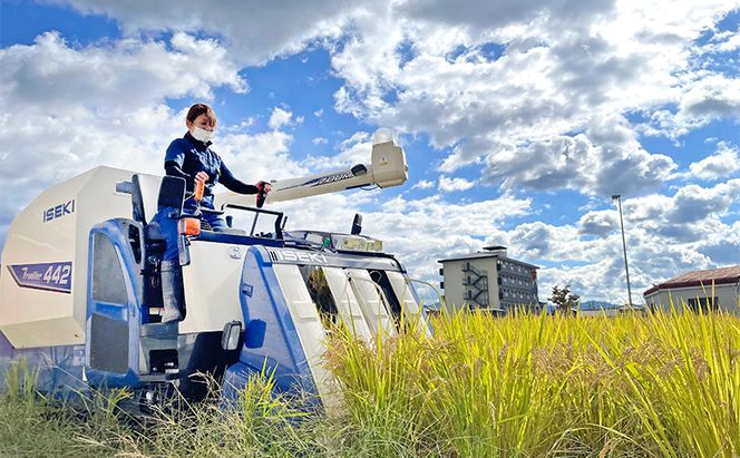 3姉妹が育てたお米　令和7年産　伊賀米コシヒカリ 2kg　3年連続 特A 米 こしひかり ご飯 ごはん 白米 精米 三重県 名張市