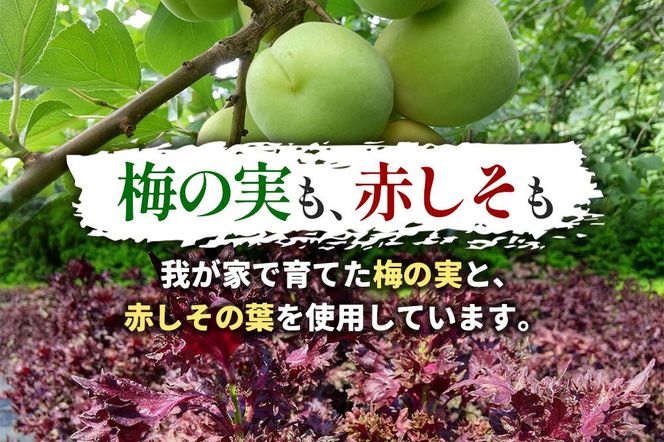  梅漬け（赤しそ入り） 200×4個 自家製 秋田県 北秋田阿仁産 [自家製 手作り 梅干し 梅漬け 漬け物]|jang-010401