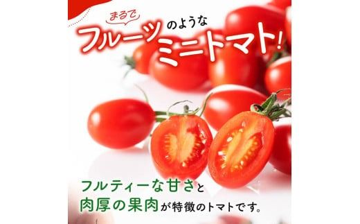 宮崎県産ミニトマト「アイコ」3kg【 宮崎県産 ミニトマト トマト 】[D03808]