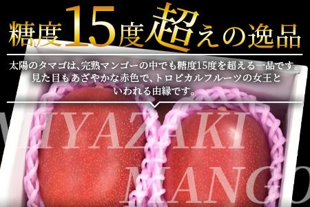 予約受付！数量限定！【2025年発送】＜宮崎県産 太陽のタマゴ A等級 4Lサイズ×2玉（合計約1kg）＞2025年4月下旬～6月末迄に順次出荷【 果物 フルーツ 太陽のタマゴ 太陽のたまご 完熟マンゴー マンゴ― 期間限定 先行予約 ギフト 贈答用 送料無料 】【a0259_ja】