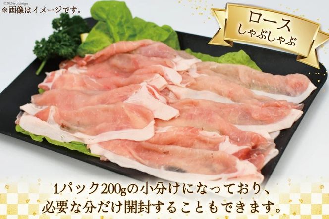 肉 豚肉 宮崎県産豚肉4種セット 詰め合わせ 2kg [日本ハムマーケティング 宮崎県 日向市 452060687] 冷凍 小分け 個包装 セット とんかつ しゃぶしゃぶ 焼き肉 細切れ 焼肉