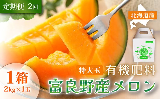 【定期便2ヵ月】糖度15度以上 赤肉メロン 富良野産 特秀品メロン 2kg×1玉 1箱×全2回｜北海道富良野市 7～8月発送 贈答用 ギフト プレゼント メロン 赤肉メロン 富良野メロン 果物 フルーツ とろける甘さ 夏季限定