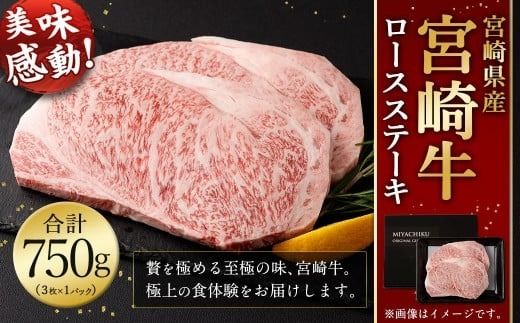 ＜宮崎牛 ロースステーキ 3枚 750g＞2026年2月上旬より順次出荷【c1397_mc_x1】 宮崎牛 ロース ステーキ 牛肉 国産 和牛 新生活応援 卒業祝い 就職祝い 入学 卒業 お花見 引越し