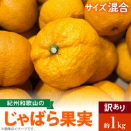 AB7033n_（国産）紀州和歌山の じゃばら 果実（訳あり ジャバラ 家庭用）1kg 国産 紀州 和歌山 じゃばら 果実 訳あり 家庭用