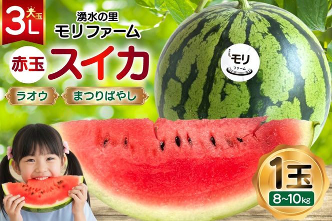 y茧szAJ455 yߘa8Nxoוz N̗ t@[ ԋ XCJ IE ܂΂₵ 3L 8`10kg 1 [ s\ ʌ  XCJ Z t[c ʕ  茧 s ]