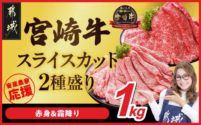 畜産農家応援! 宮崎牛スライス2種セット500g×2パック_AC-N203
