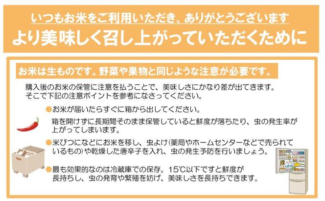 【定期便3カ月間】　令和8年産米　花巻ひとめぼれ5kg　＜5kg×3カ月連続でお届け＝計15kg＞ 【2455】