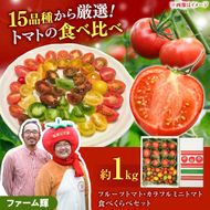 【先行予約】フルーツトマト＆カラフルミニトマト食べ比べセット約1kg / 15品種から厳選〈2027年1月下旬から順次発送〉トマト フルーツトマト ミニトマト 詰め合わせ セット 新鮮野菜 ふるーつとまと フルーツミニトマト カラフル トマト とまと 美味しい 高知県 土佐市【ファーム輝】 [BQBM003]