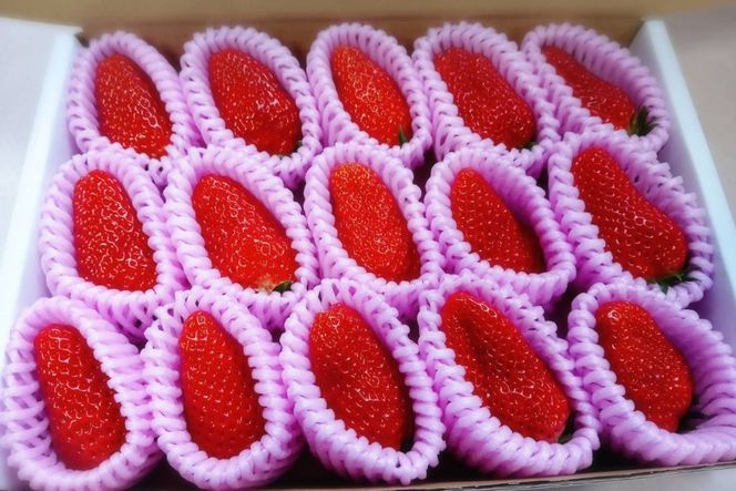 まつみやファーム獲れたて野菜・フルーツ3種定期便　MY00018